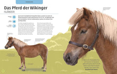 Pferde und Ponys Dorling Kindersley Verlag