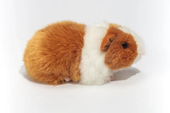 Meerschweinchen gold weiß 20cm