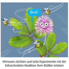 Mitbring Experiment: Mimosengarten