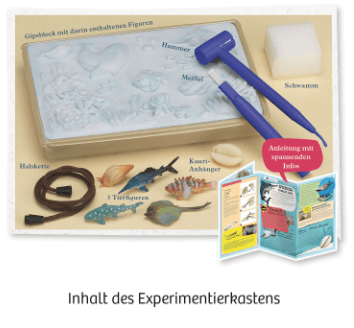 Mitbring Experiment: Ausgrabung Meeresabenteuer Kosmos Spieleverlag