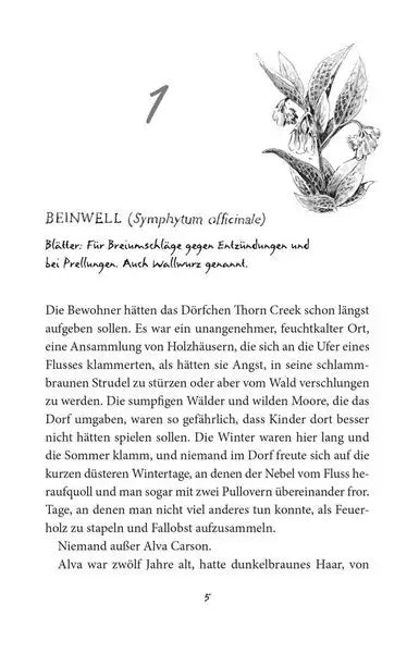 alva-und-das-ratsel-der-flusternden-pflanzen-taschenbuchausgabe-kunstundspiel-2 - kunstundspiel 