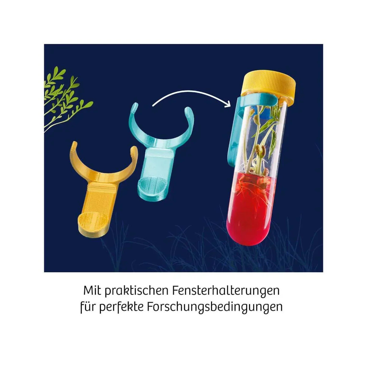 Aqua-Gel Pflanzen Experementierkasten - Moses