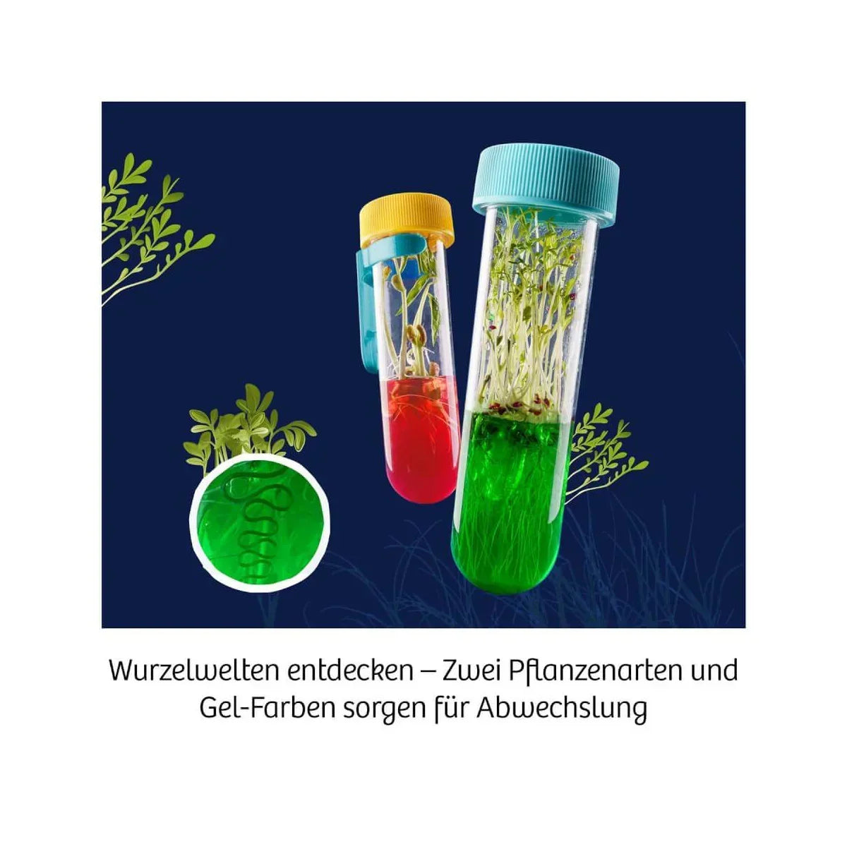 Aqua-Gel Pflanzen Experementierkasten - Moses