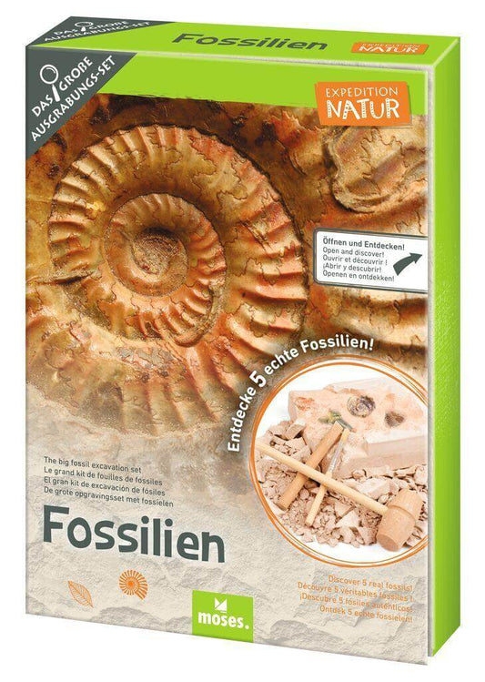 Ausgrabungsset Fossilien Moses