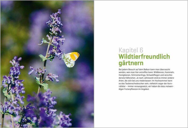 Balkongärtnern im Klimawandel Oekom Verlag