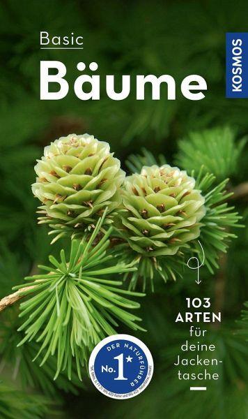 BASIC Bäume - www. kunstundspiel .de 9783440173909