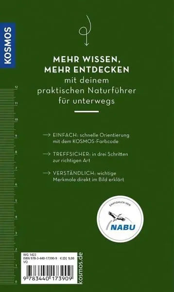 BASIC Bäume - 9783440173909 Franckh-Kosmos Verlag