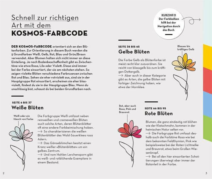 BASIC Blumen Franckh-Kosmos Verlag