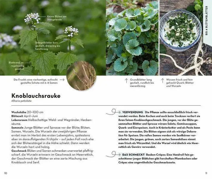 BASIC Früchte und Wildkräuter Franckh-Kosmos Verlag