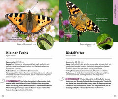 BASIC Insekten - www. kunstundspiel .de 9783440173916