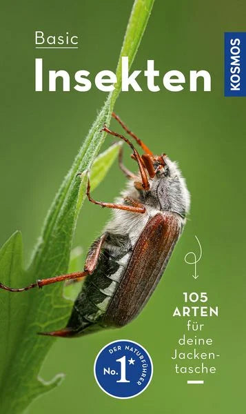 Basic Insekten