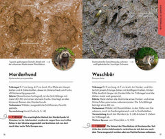 BASIC Tierspuren - www. kunstundspiel .de 9783440173947