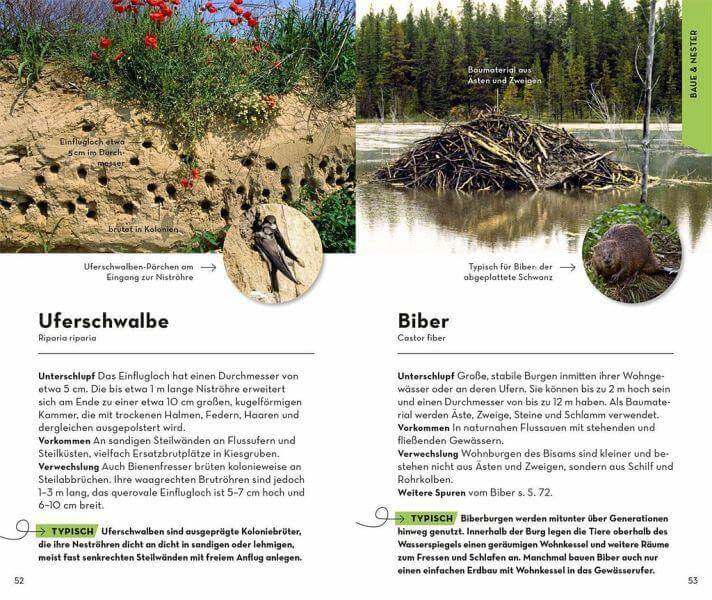 BASIC Tierspuren Franckh-Kosmos Verlag