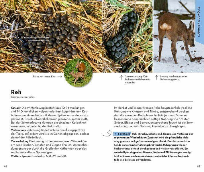 BASIC Tierspuren Franckh-Kosmos Verlag