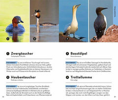 BASIC Vögel Franckh-Kosmos Verlag