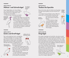 BASIC Vögel Franckh-Kosmos Verlag