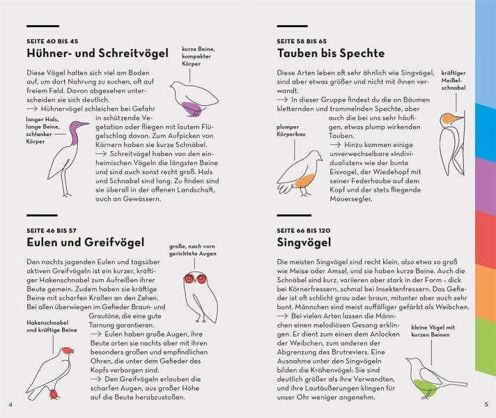 BASIC Vögel Franckh-Kosmos Verlag