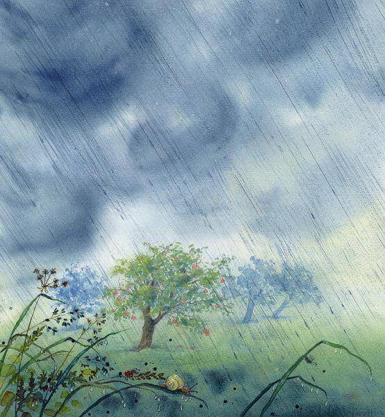 Bertie Pom und das große Donnerwetter Urachhaus Verlag