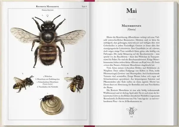 bienenkalender-2027-kunstundspiel-4 - kunstundspiel 
