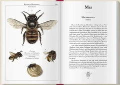 bienenkalender-2027-kunstundspiel-4 - kunstundspiel 