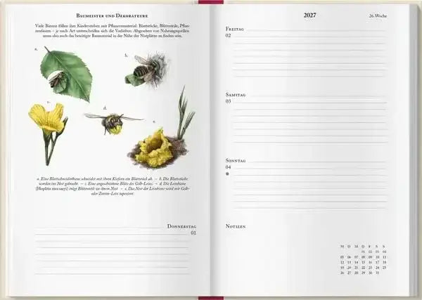 bienenkalender-2027-kunstundspiel-5 - kunstundspiel 
