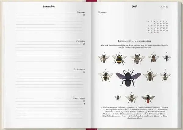 bienenkalender-2027-kunstundspiel-6 - kunstundspiel 