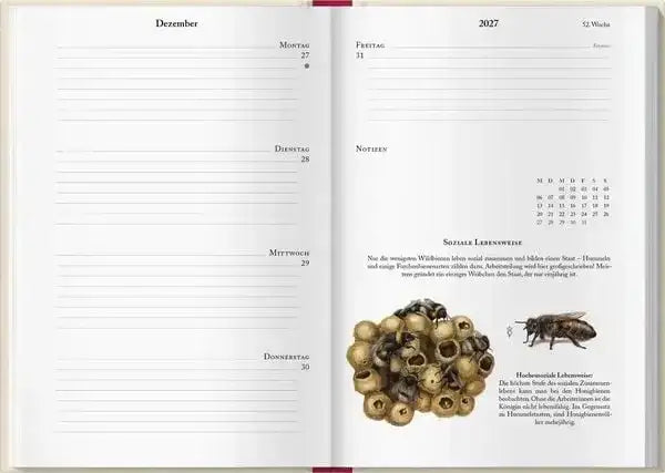 bienenkalender-2027-kunstundspiel-7 - kunstundspiel 