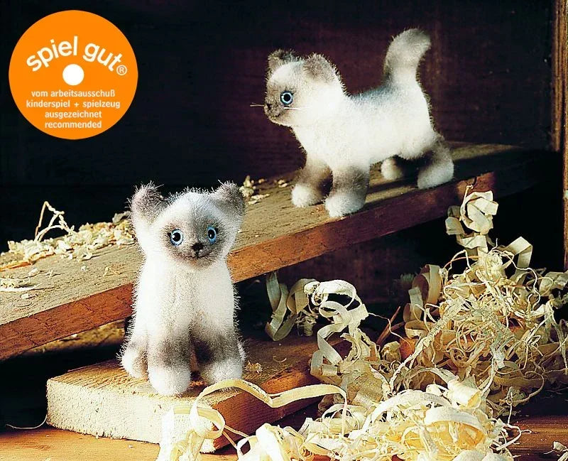 Birmakätzchen Kösen