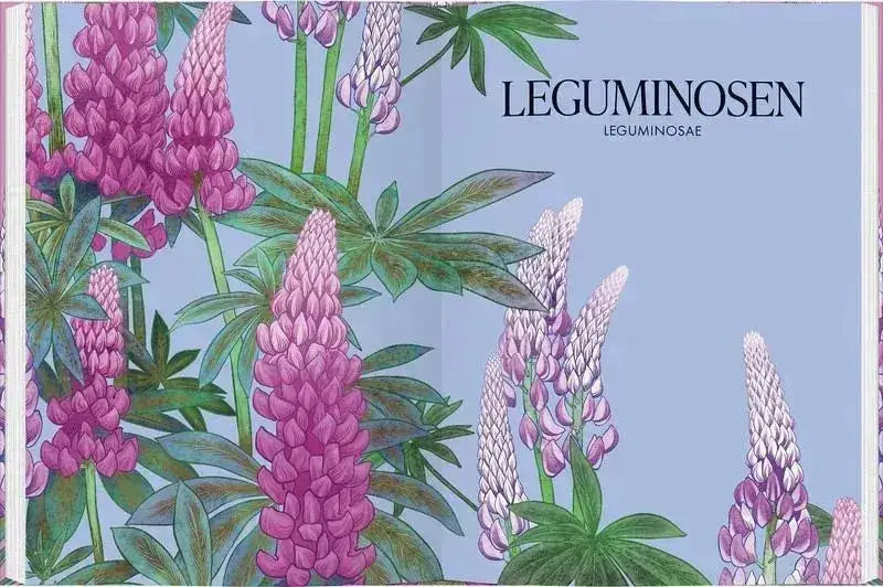Blüten - 9783836922081 Gerstenberg Verlag