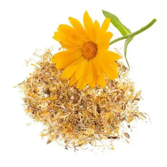 Blüten Ringelblumen 3g - 61601101-SALE Glorex