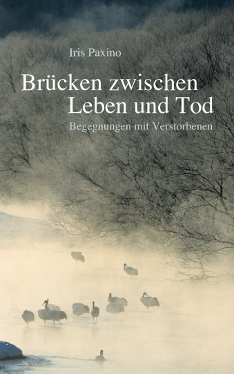 Brücken zwischen Leben und Tod Verlag Freies Geistesleben