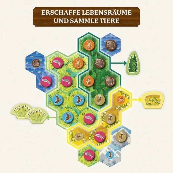 Cascadia Junior - 4002051684884 Kosmos Spieleverlag