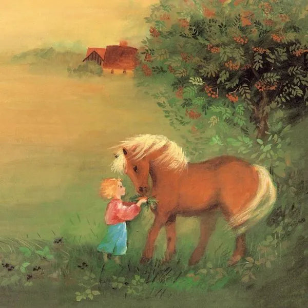 Christof und die Tiere - 9783772508776 Verlag Freies Geistesleben