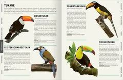 Das große Lexikon der Vögel
