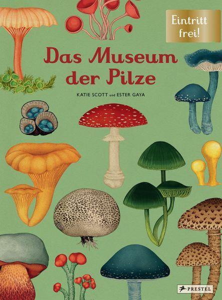 Das Museum der Pilze - www. kunstundspiel .de 9783791374529