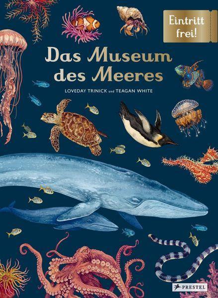 Das Museum des Meeres - www. kunstundspiel .de 9783791374628