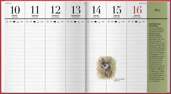 der-illustrierte-vogelkalender-2027-kunstundspiel-5 - kunstundspiel 