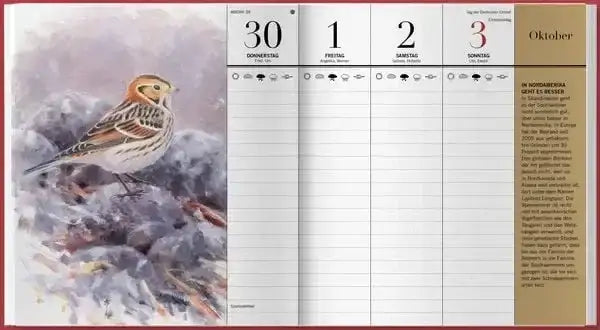 der-illustrierte-vogelkalender-2027-kunstundspiel-6 - kunstundspiel 
