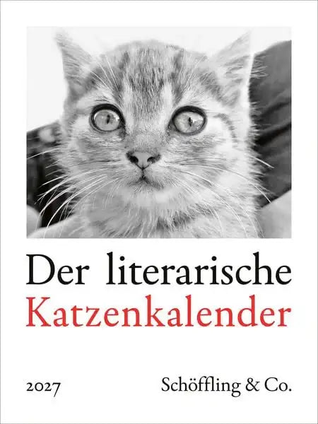 der-literarische-katzenkalender-2027-wandkalender-kunstundspiel-1 - kunstundspiel 