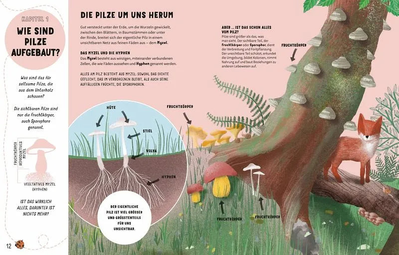 Die Geheimnisse der Pilze - 9788863127126 White Star