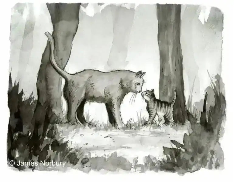 Die Katze, die nach Weisheit sucht Wunderraum