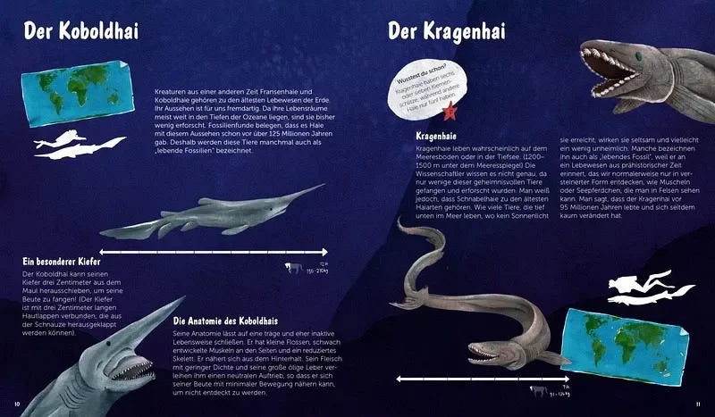 Die Welt der Haie - 9783967047790 Kleine Gestalten