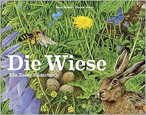 Die Wiese - www. kunstundspiel .de 9783407812230