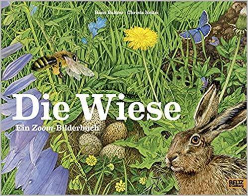 Die Wiese Beltz und Gelberg Verlag