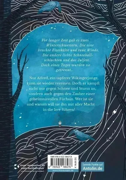 Die Winterschwestern Thienemann