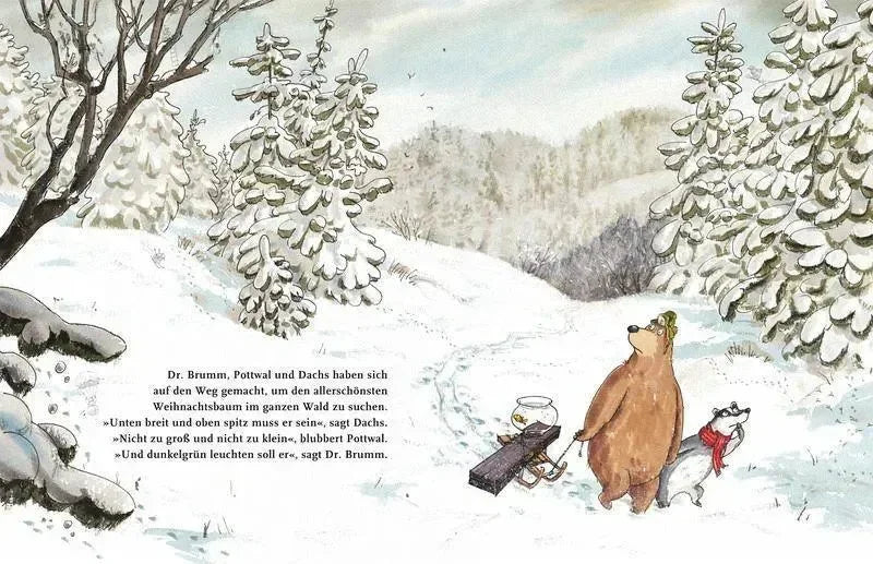 Dr. Brumm feiert Weihnachten Thienemann Verlag