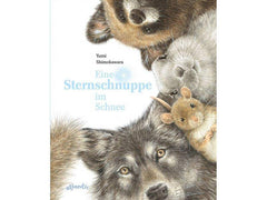 Eine Sternschnuppe im Schnee - www. kunstundspiel .de 9783715207742