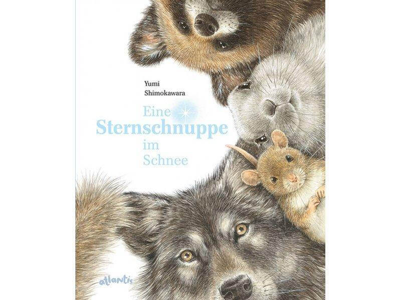 Eine Sternschnuppe im Schnee Atlantis Verlag