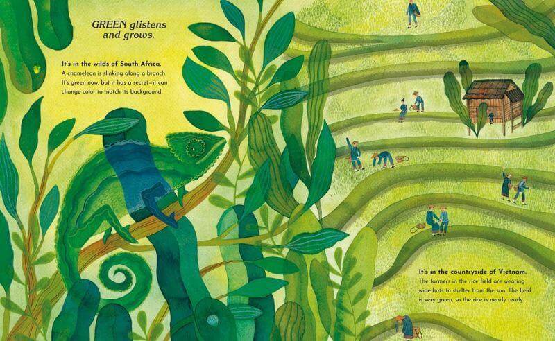 Eine Welt, viele Farben Midas Verlag