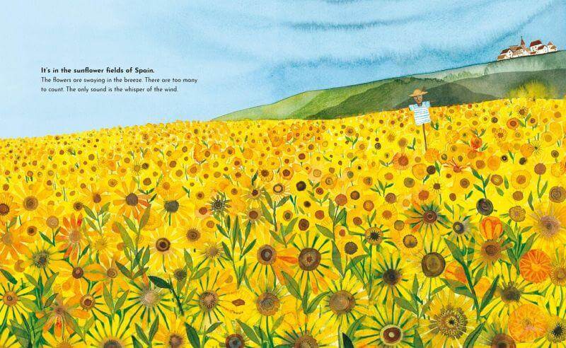 Eine Welt, viele Farben Midas Verlag